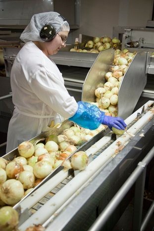 links onions