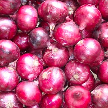onion directory list
