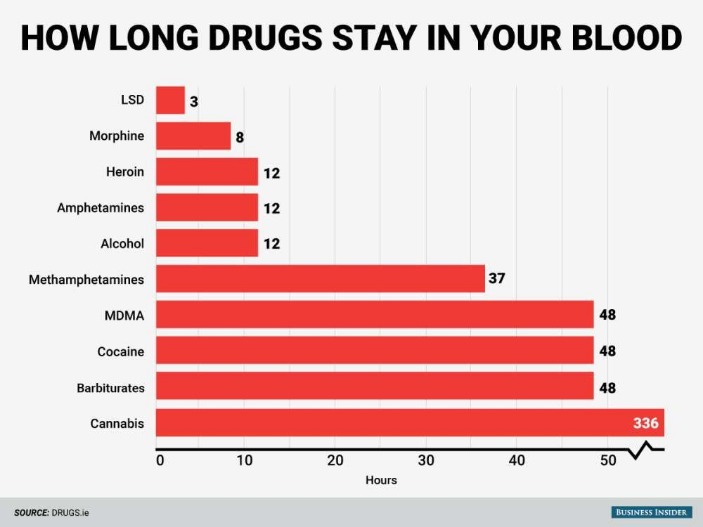 deep web drugs reddit