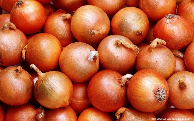 onion directory 2023