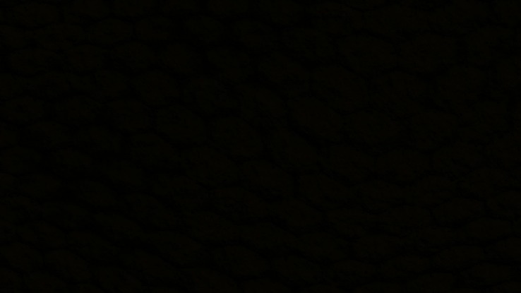 black market website names