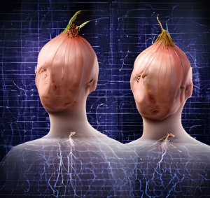 dark web links reddit