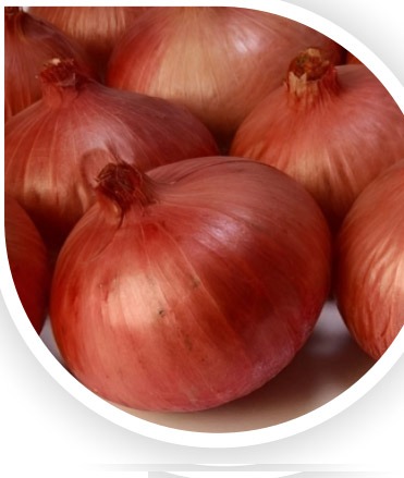 onion dark web list