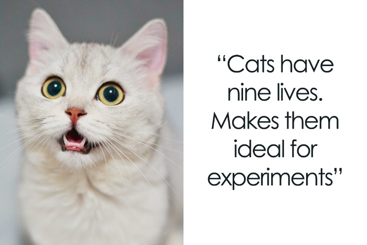 dark markets portugal