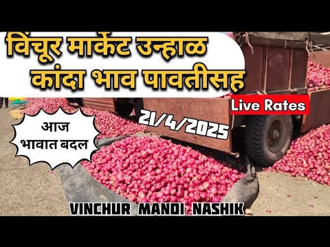 live onion