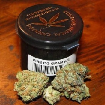 dark net market links 2023