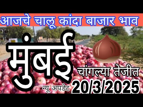 live onion market