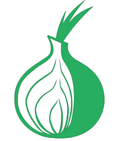 accessing the dark web